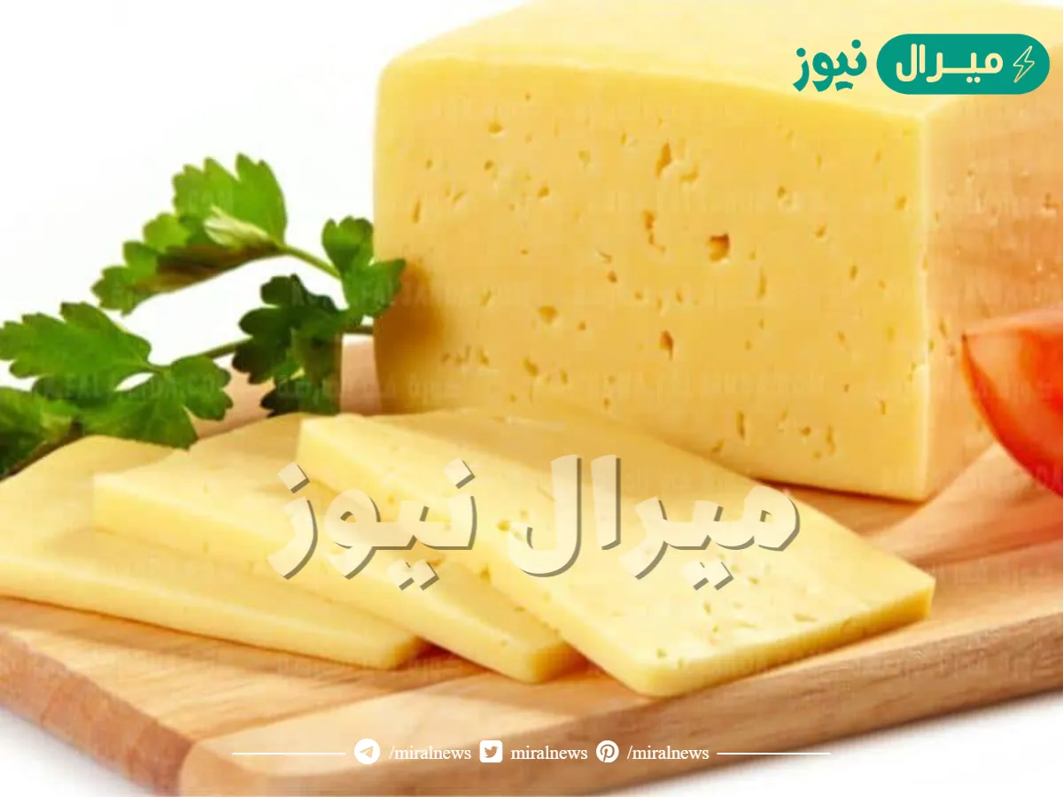 وفري فلوسك واعمليها في البيت.. بكيلو حليب اعملي الجبنة الرومي في البيت زي المصانع باسرار الشيفات بطعم حكاية هتعمليها كل يوم