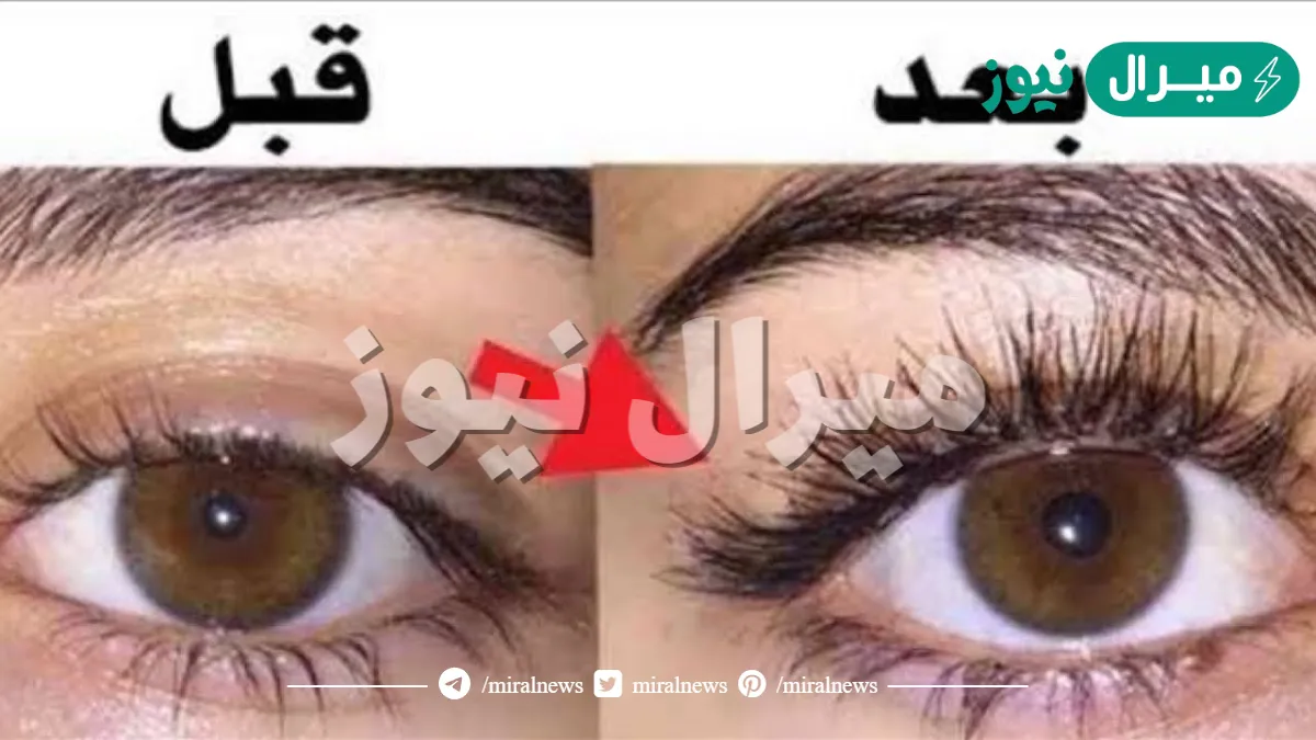 أقوي الوصفات الطبيعية لتكثيف الرموش والحواجب بطرق امنة وبدون أضرار