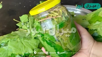 “هيقعد عندك أطول فترة ممكنة” خزني ورق العنب طول السنه طازه ومش بيتكسر وبكل سهولة