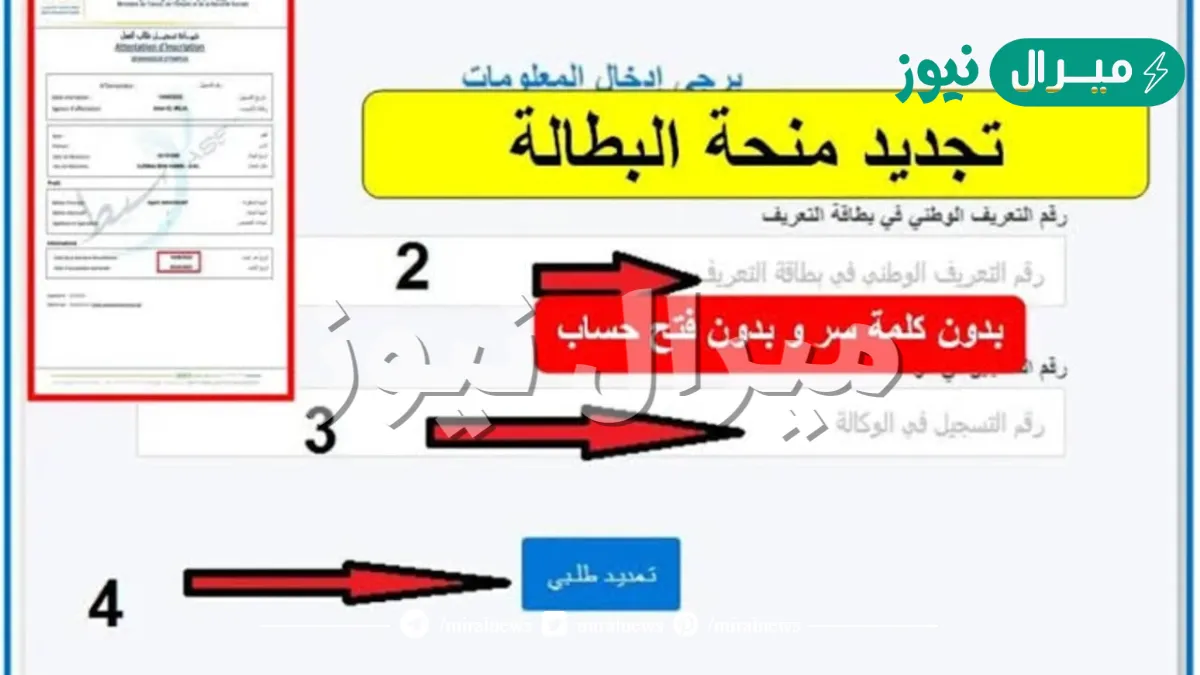 هنا.. خطوات تجديد منحة البطالة بالجزائر وما هي شروط القبول في المنحة anem.dz