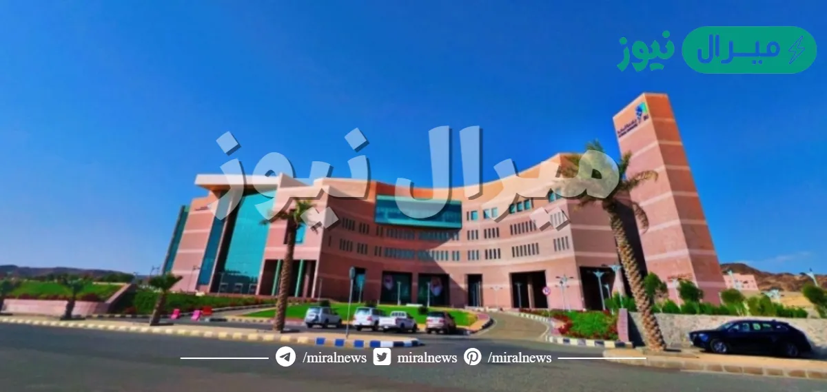 طريقة استعلام نتائج قبول جامعة الباحة