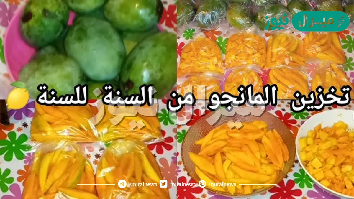 طريقة تخزين المانجا من السنة للسنة بدون ما يتغير الطعم واللون وأفضل نوع للتخزين