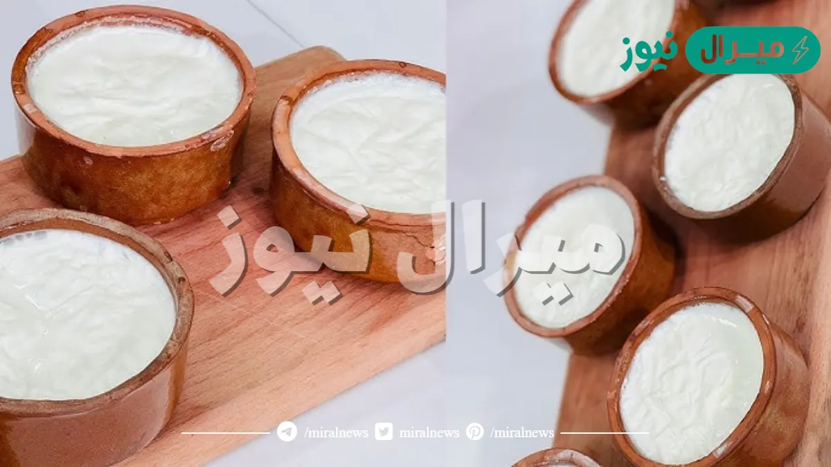 أطعم من الجاهز .. طريقة عمل الزبادي في المنزل بوقت قياسي وبمكونين فقط لمذاق لا يقاوم