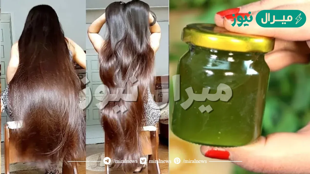 بخلطة الزيوت الأصلية.. طريقة عمل حمام زيت للشعر لتحقيق أقصى استفادة ونعومة فائقة من أول مرة