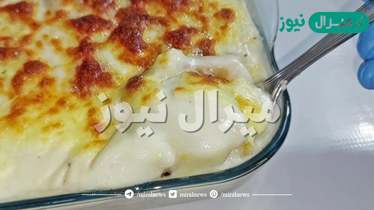 جوسي ولذيذة.. طريقة عمل مكرونة بالبشاميل بمكونات متوفرة وخطوات سهلةوبسيطة