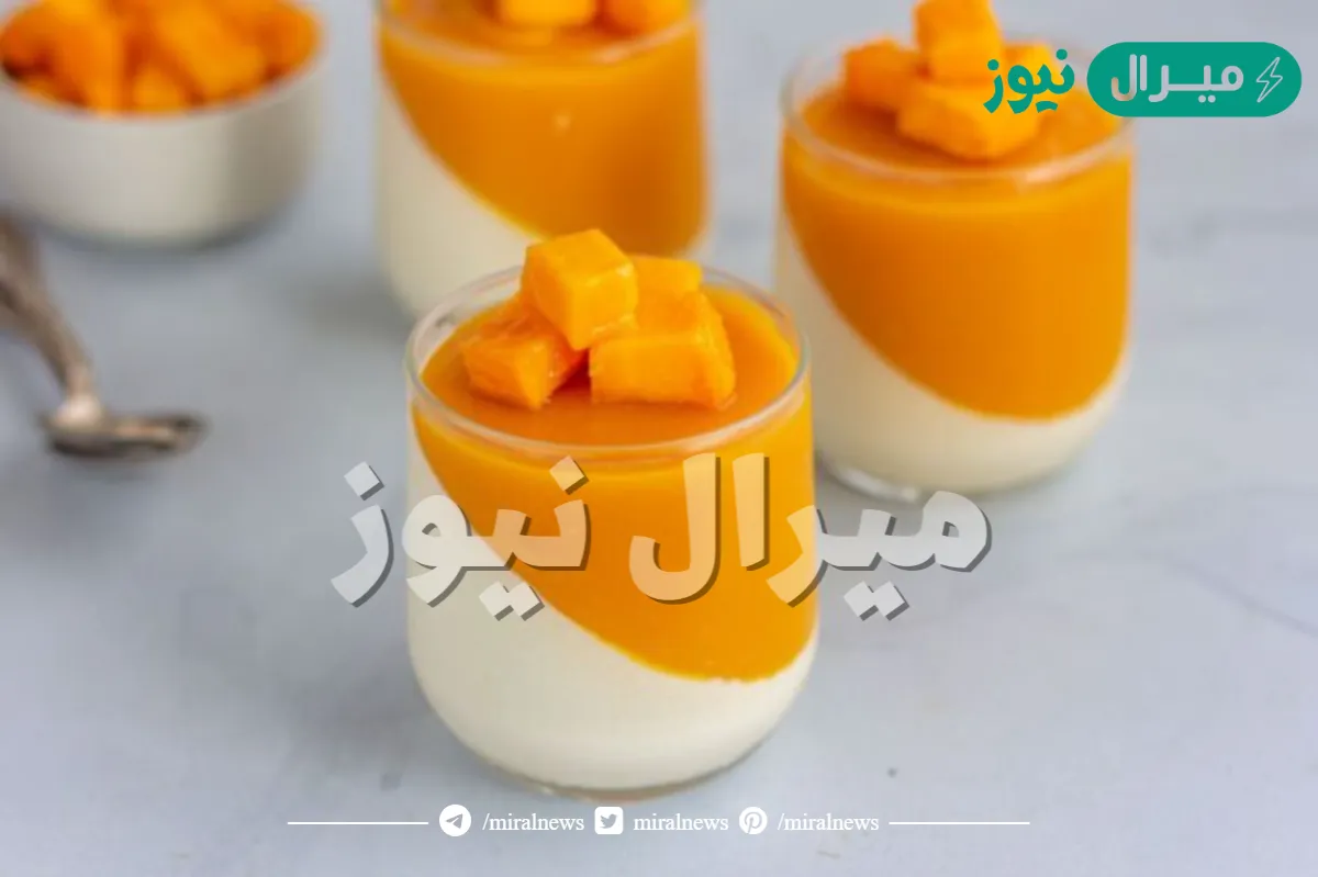 طريقة عمل موس المانجو حلى بارد تبرد على القلب في حر الصيف بدون فرن وبدون بيض وبمكونات بسيطة وخطوات سهلة