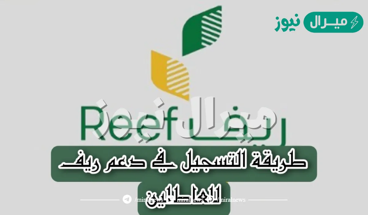 من عاطل إلى مزارع ناجح.. تعرف على أهم الشروط المطلوبة وخطوات التقديم في دعم ريف للعاطلين وماهي أهم مزايا البرنامج