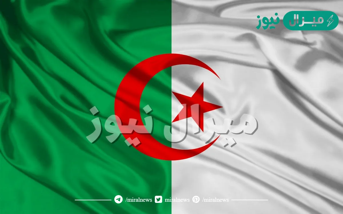 أعرفها الآن.. موعد ظهور نتائج البكالوريا الجزائر عبر وزارة التربية الوطنية وخطوات الاستعلام عبر bem.onec.dz