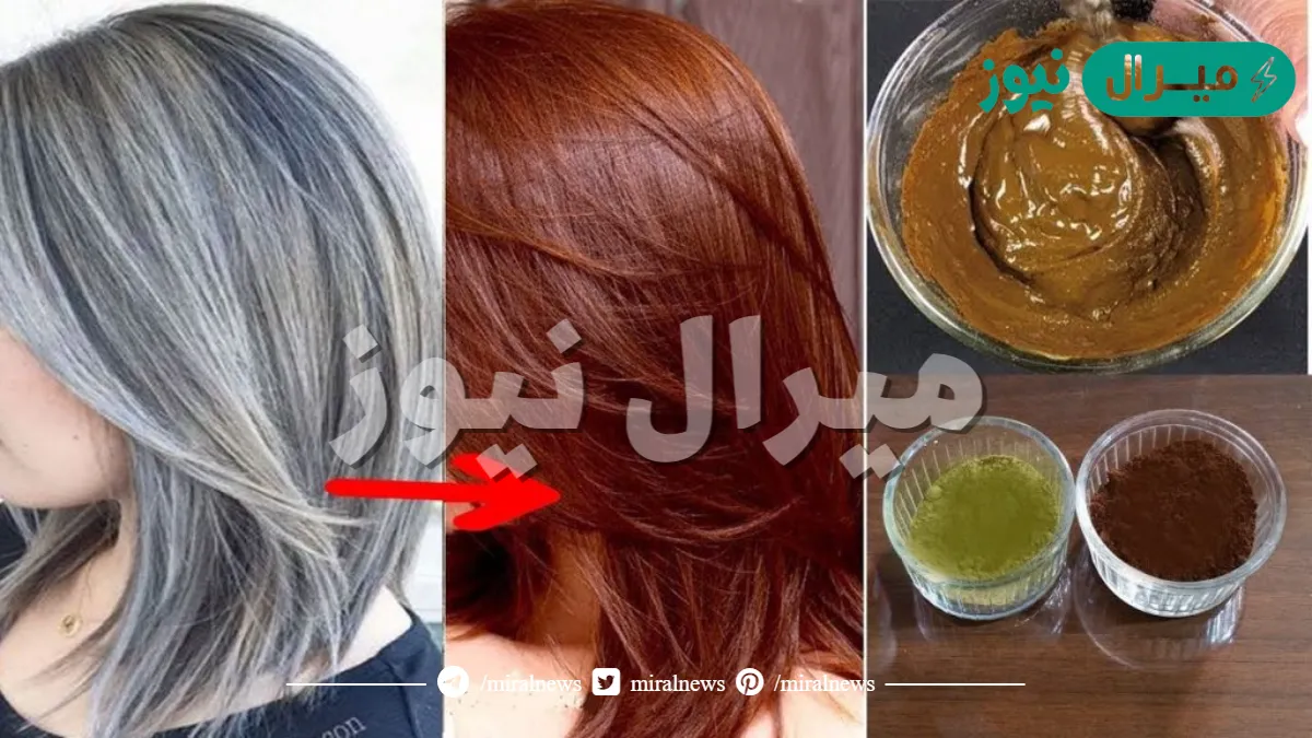 وداعًا للشيب.. صبغ الشعر بمكونات طبيعية وتعرف على أسباب ظهور الشعر الأبيض