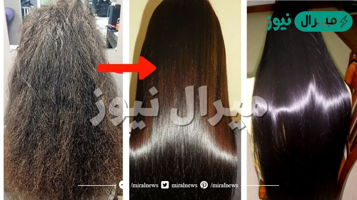 بدون مشاوير ومصاريف.. 3 وصفات طبيعية لفرد الشعر ومنع تساقطه