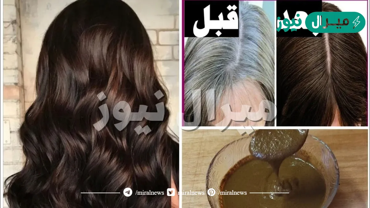 “لا للشيب المبكر بعد اليوم”وصفة خيالية لتغطية شيب الشعر مجربة وآمنة تمام بدون مواد كيمائية