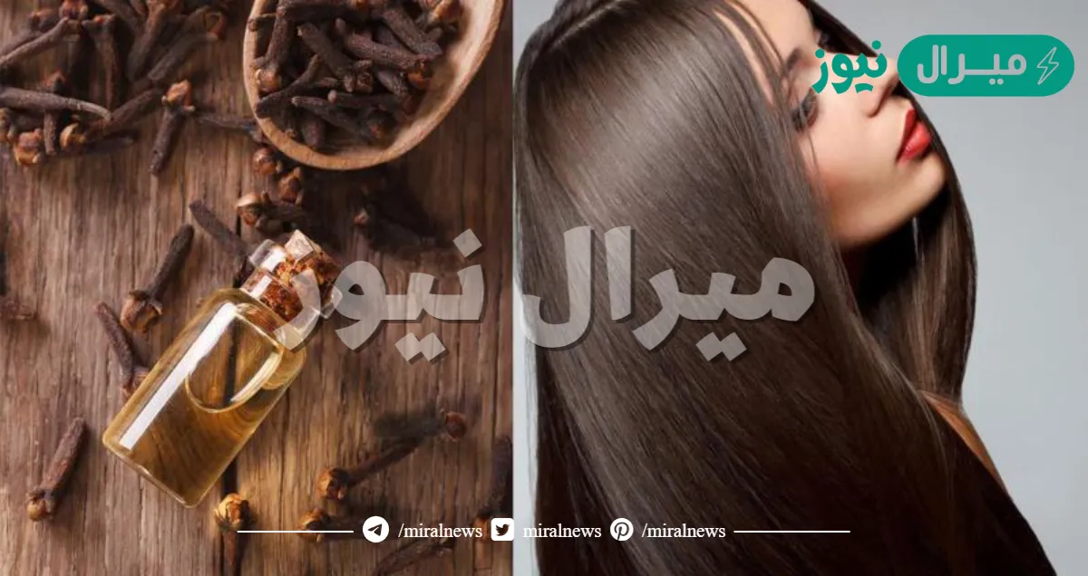 لشعر كثيف وصحي كالهنديات .. وصفة زيت القرنفل الفعالة للعناية بالشعر