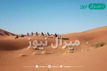 العثيم وش يرجعون