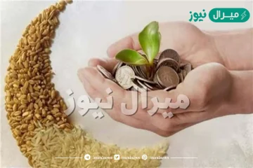 شروط اخراج زكاة الفطر