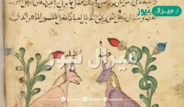كليلة ودمنة هما من