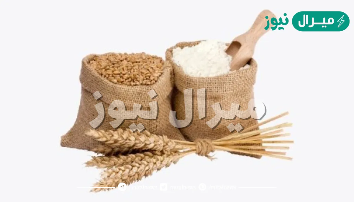 متى اخراج زكاة الفطر