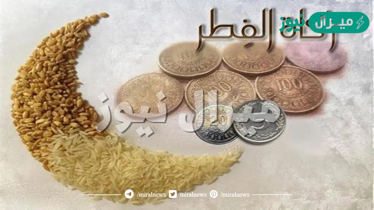 من تجب عليه زكاة الفطر