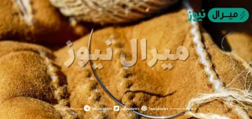 من هو النبي الذي خاط الثياب ولبسها