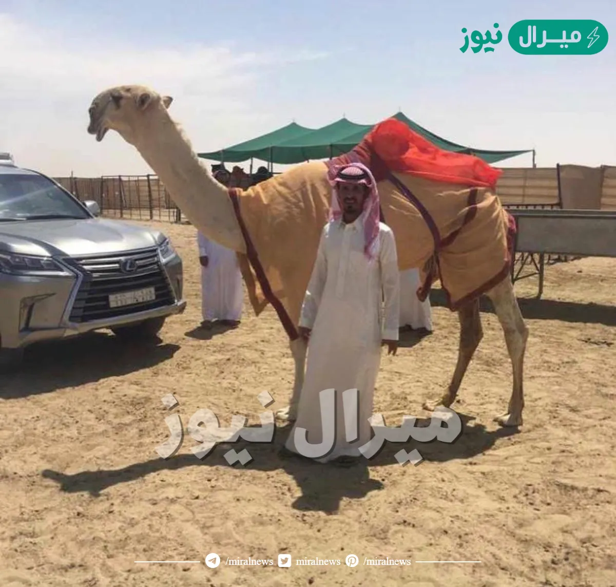 من هو بدوي نجد الشيباني