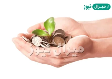 هل يزكى عن الجنين