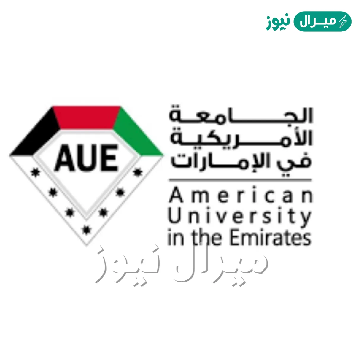أهم تخصصات الجامعة الأمريكية في الامارات