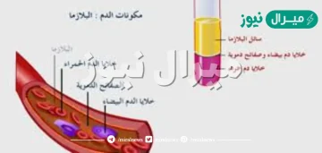 اجزاء خلويه تساعد على تجلط الدم