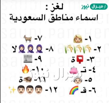 استخرج اسماء مناطق في السعوديه من الصوره