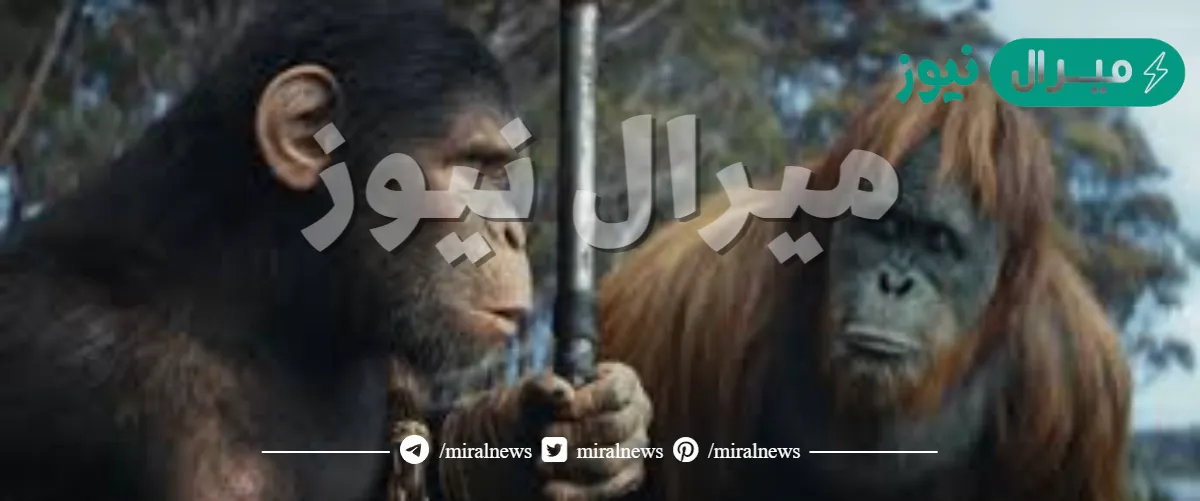 اشهر قرد في السينما العالمية