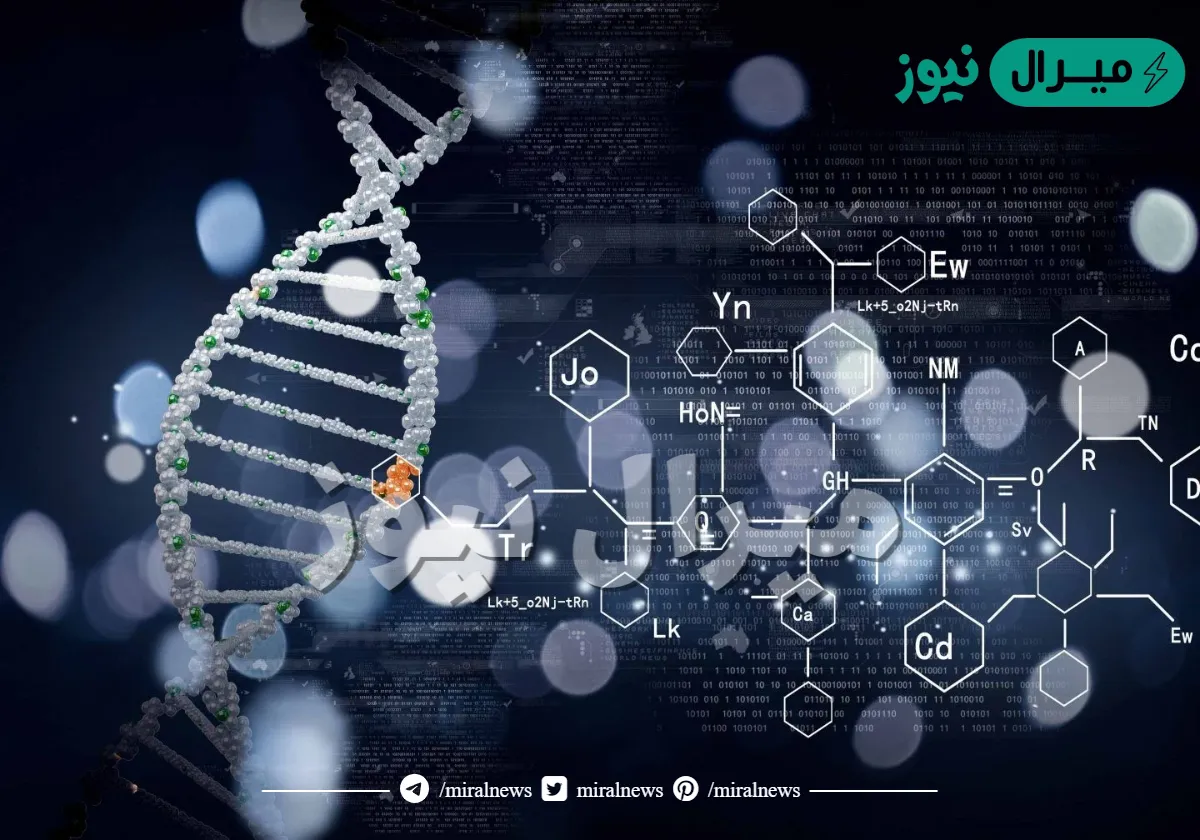 افضل التخصصات العلمية في العالم