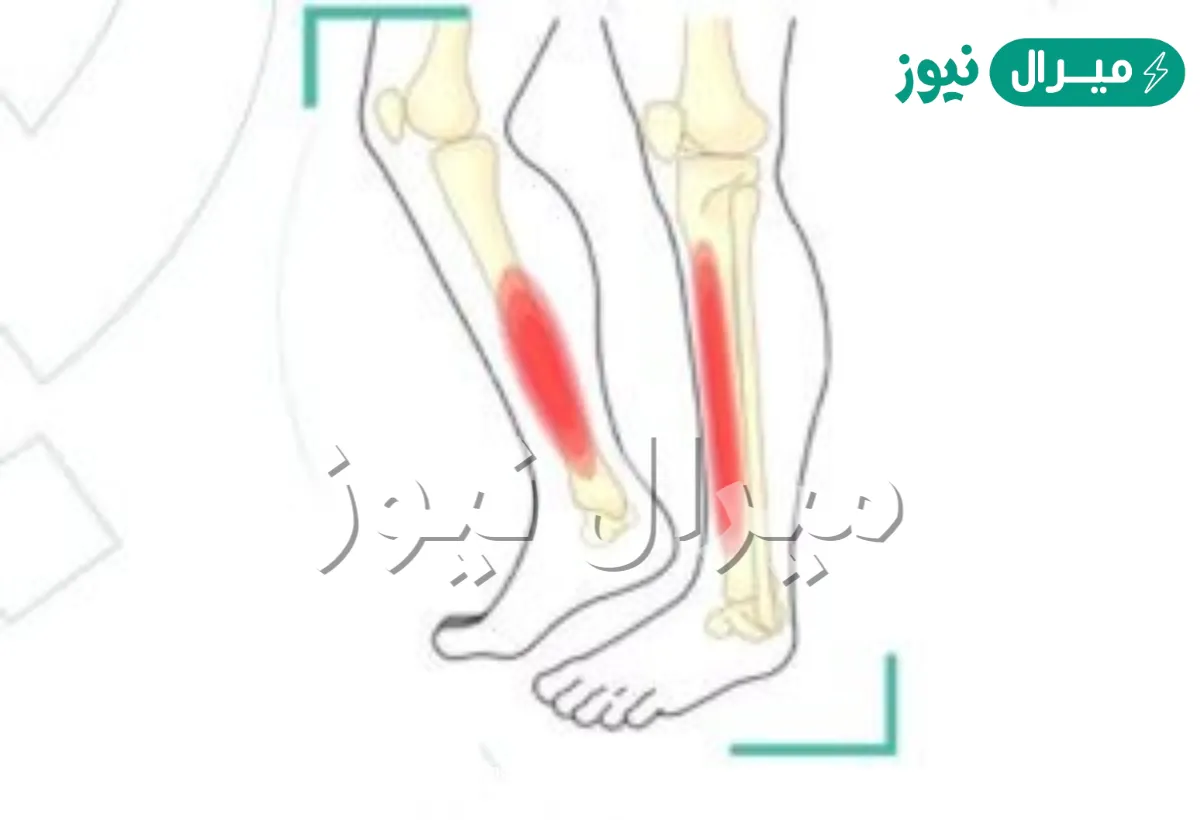 الاسم الذي يطلق على عظمتا الساق