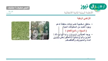 الانظمة البيئية المائية الانتقالية تشمل منطقتين هما