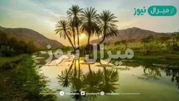 الاودية في المملكة العربية السعودية