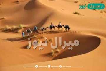 الايداء من وين