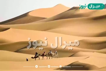 البليهي وش يرجعون