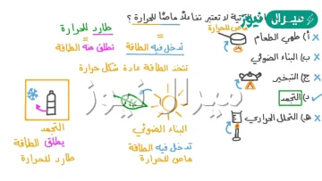 البناء الضوئي عند النبات مثال على تفاعل ماص للطاقة
