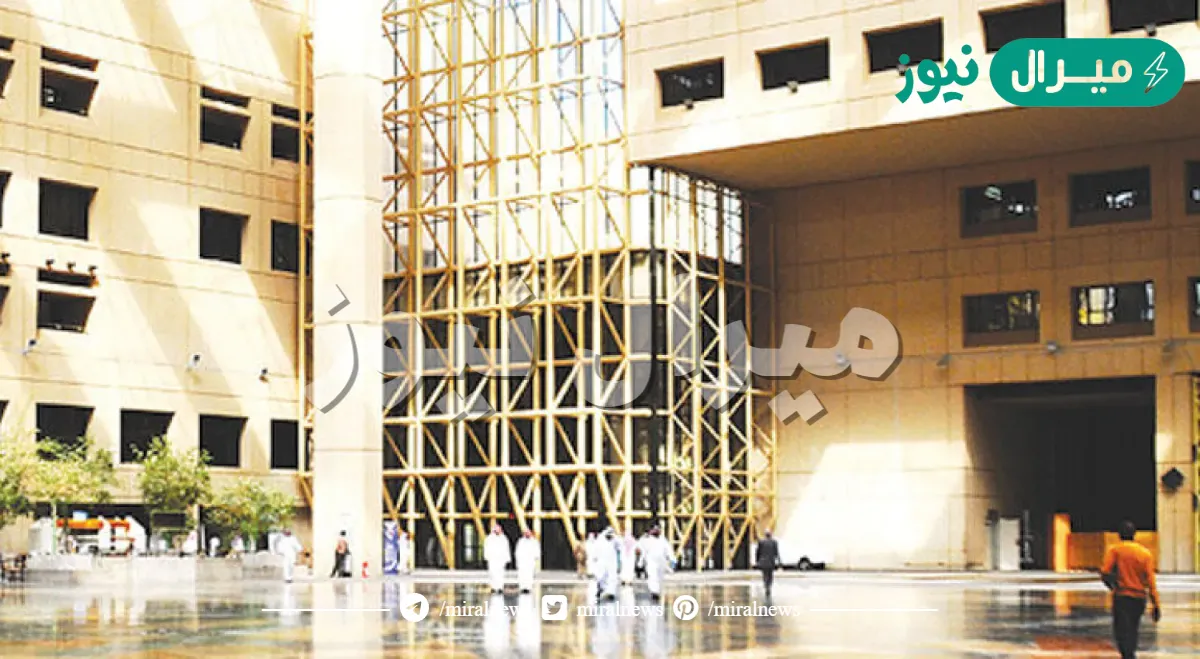 التخصصات الجامعية حسب رؤية ٢٠٣٠
