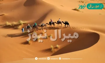 الخريصي وش يرجعون