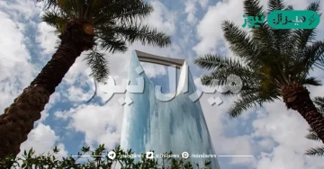 الدوادمي اين تقع