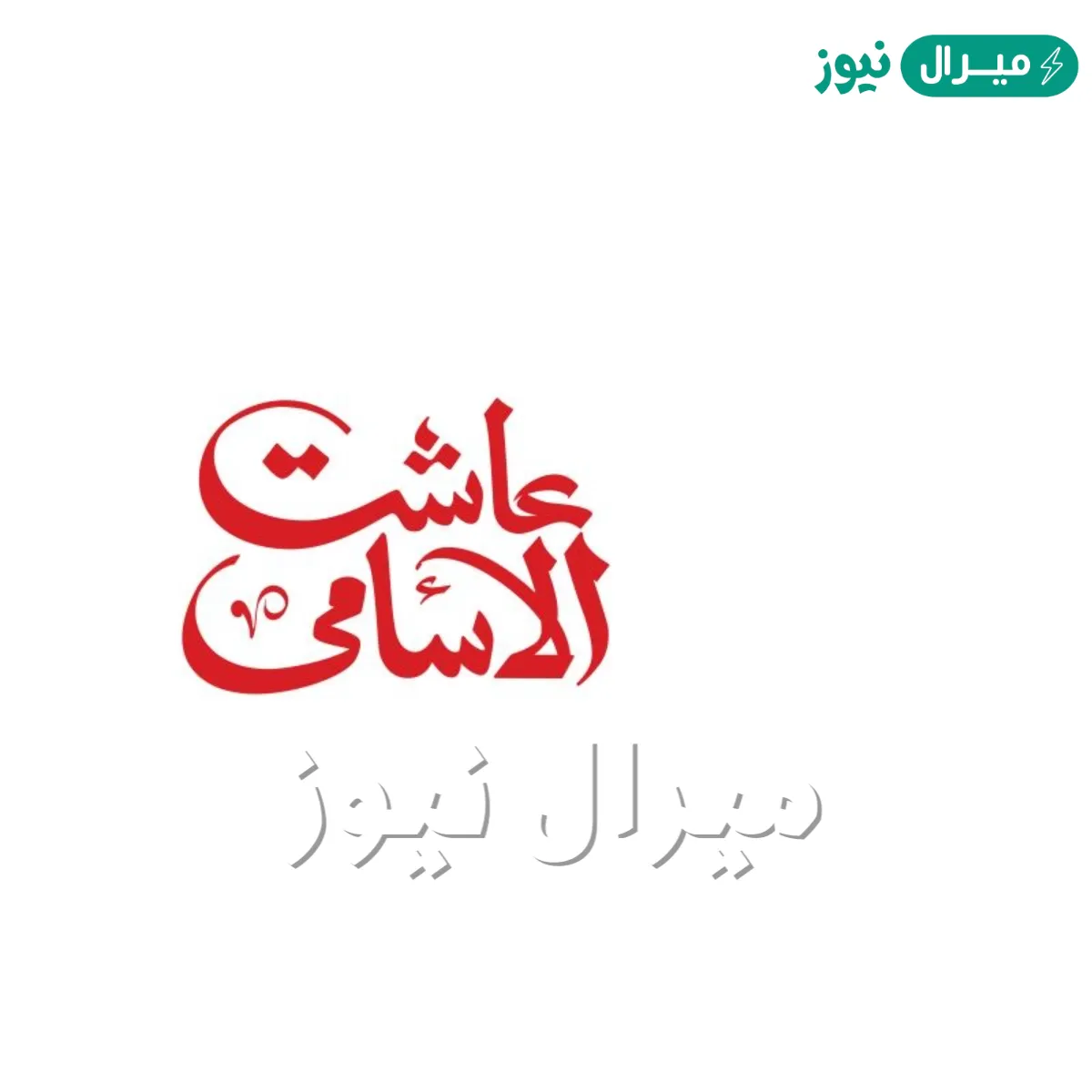 الرد على عاشت الاسامي