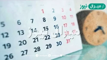 السنة كم اسبوع