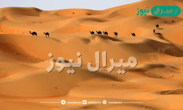 الشعيفاني وش يرجع