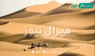 الشهوان وش يرجعون