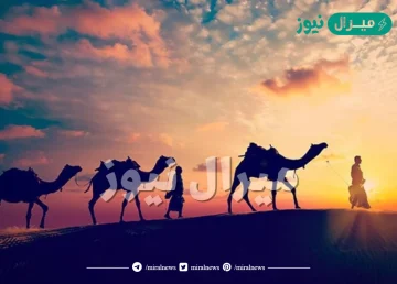 الصحابي الذي خرج على راس المهاجرين الى الحبشه هو