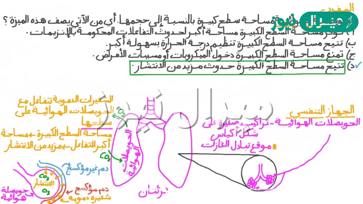 الطريقة التي يتم فيها تبادل الغازات بين الشعيرات الدموية والحويصلات الهوائية في الرئتين تسمى