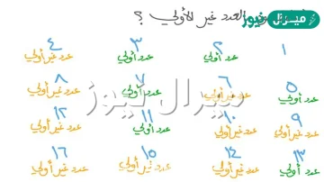 العدد 23 اولي او غير اولي
