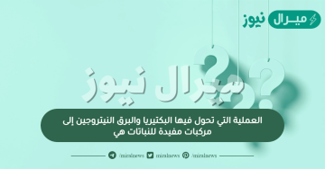 العملية التي تحول فيها البكتيريا والبرق النيتروجين إلى مركبات مفيدة للنباتات هي