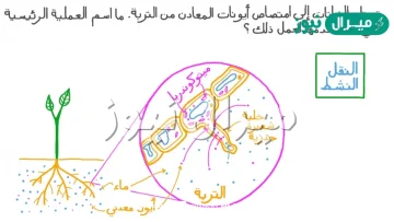 العملية التي ينفذ من خلالها جزء من المياه إلى باطن الأرض تسمى