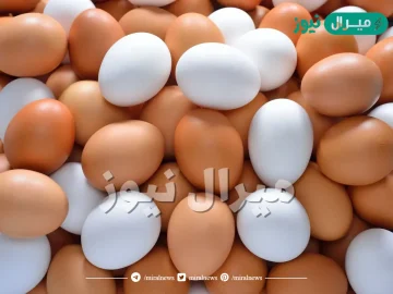 الفرق بين البيض الابيض والبني