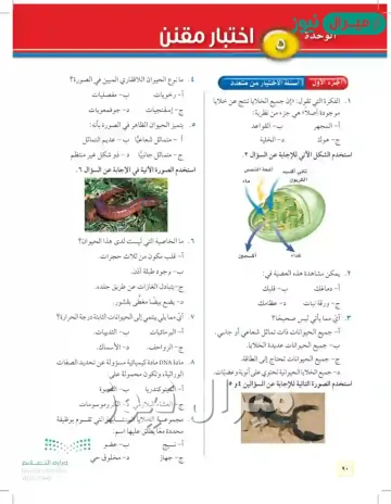 الفكره التي تقول ان جميع الخلايا تنتج عن خلايا موجوده أصلا