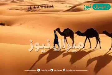 الكندري من وين